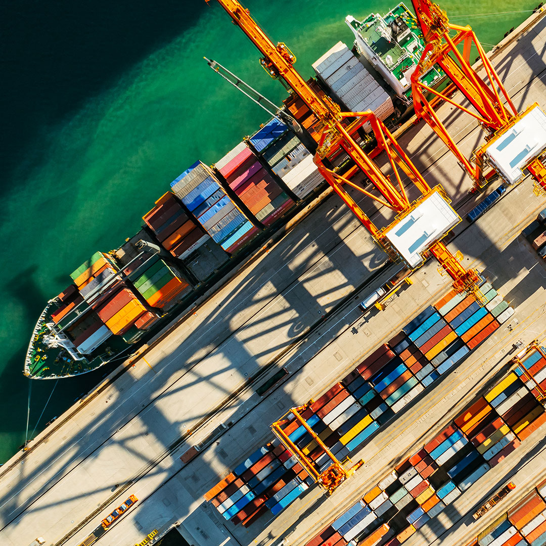 From Turkiye to the World